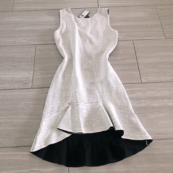 BCBGMaxAzria Dresses & Skirts - Stunning Fitted Dress